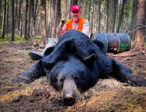 Saskatchewan Black Bear Hunts Gallery: Bruin Bonanza