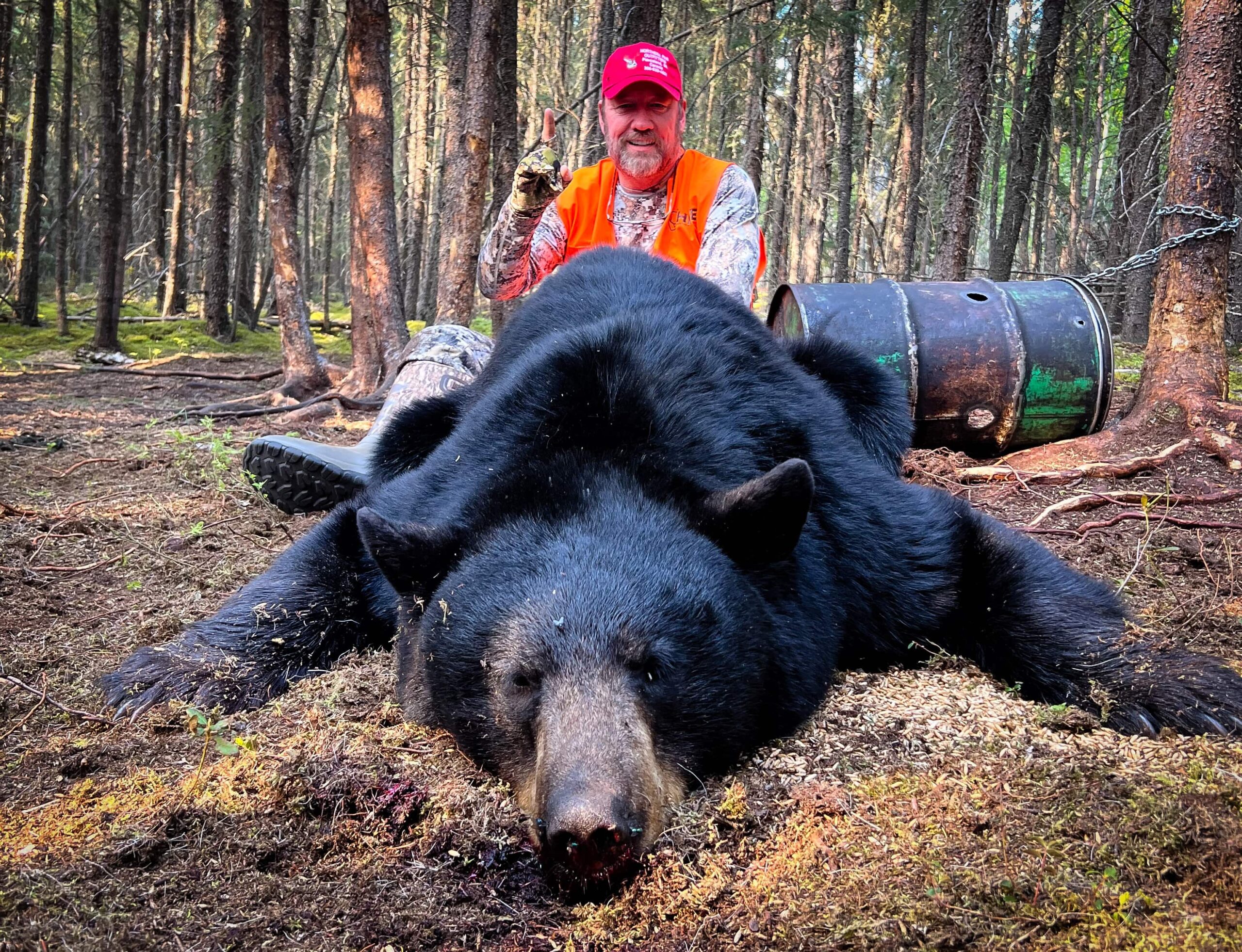 Massive Saskatchewan Black Bear