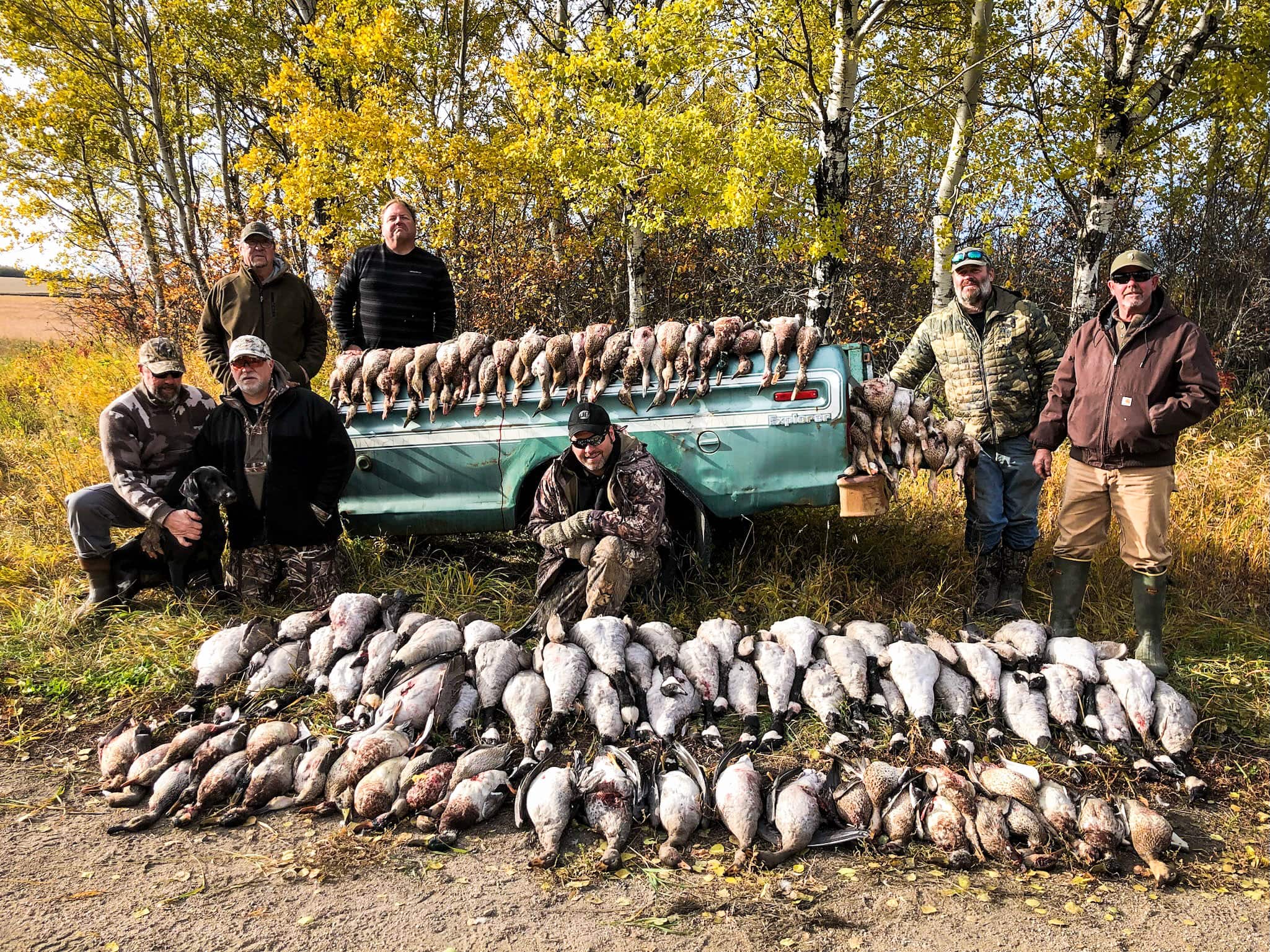 Successful goose hunters with their bag